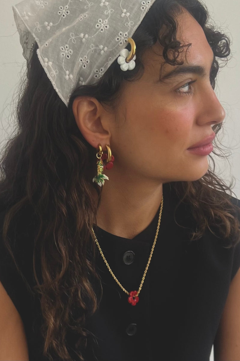 Aretes Captura del día